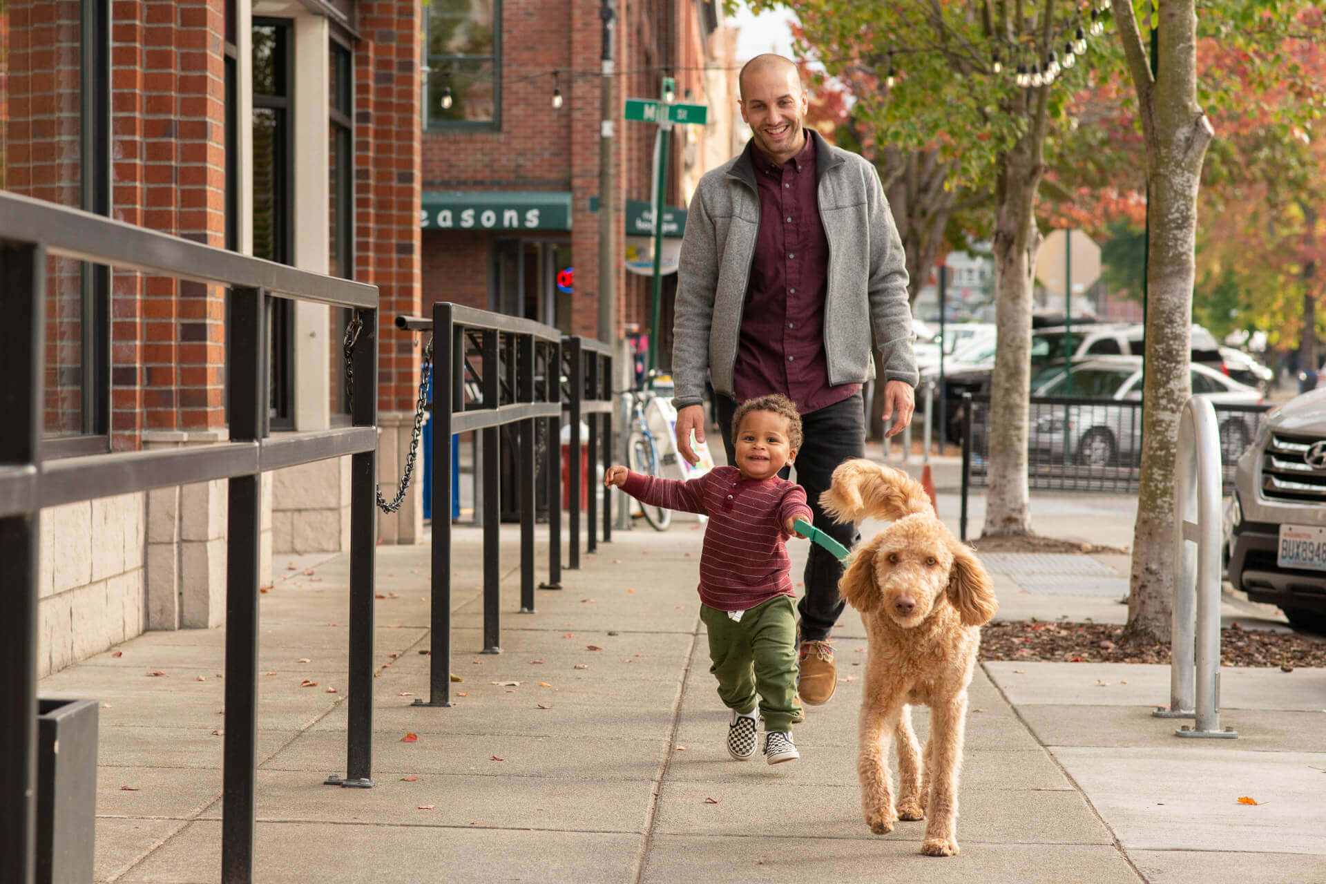 A todder holds a dog's leash while his dad follows behind on the sidewalk in Fairhaven