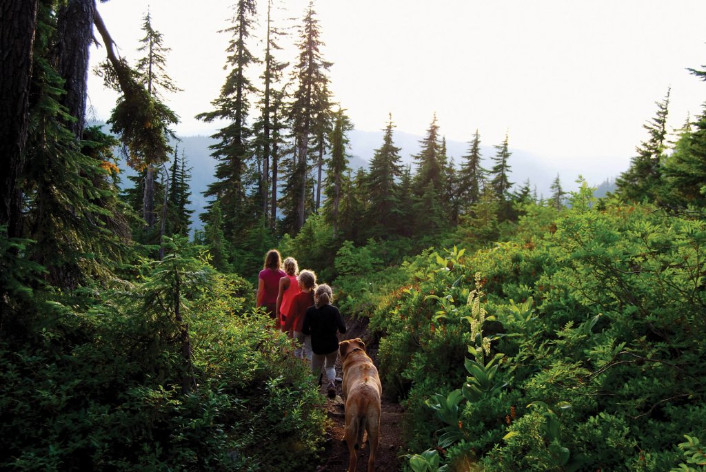 A woman and four girls walk along a forested hiking trail while a dog follows behind them.