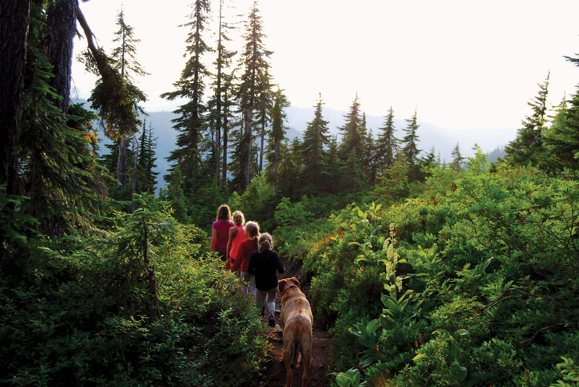 Dog Friendly Vacations Washington 11 Pet Friendly Vacations