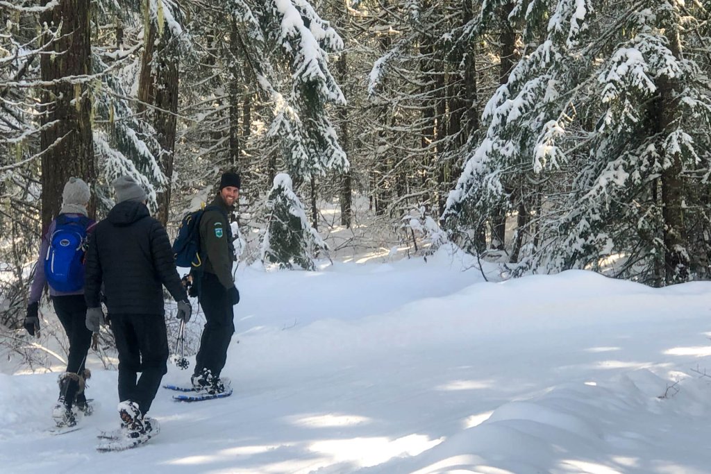 Three adults snowshoethrough a forest during winter camping in Washington.
