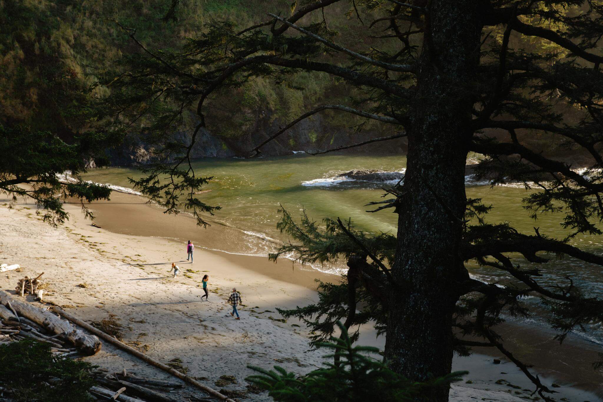 Beach in Cape Disappointment State Park, WA