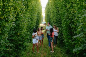Best Destinations for Beer Lovers in Washington