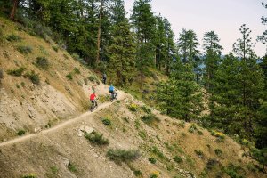 Mountain Biking Destinations in Washington State