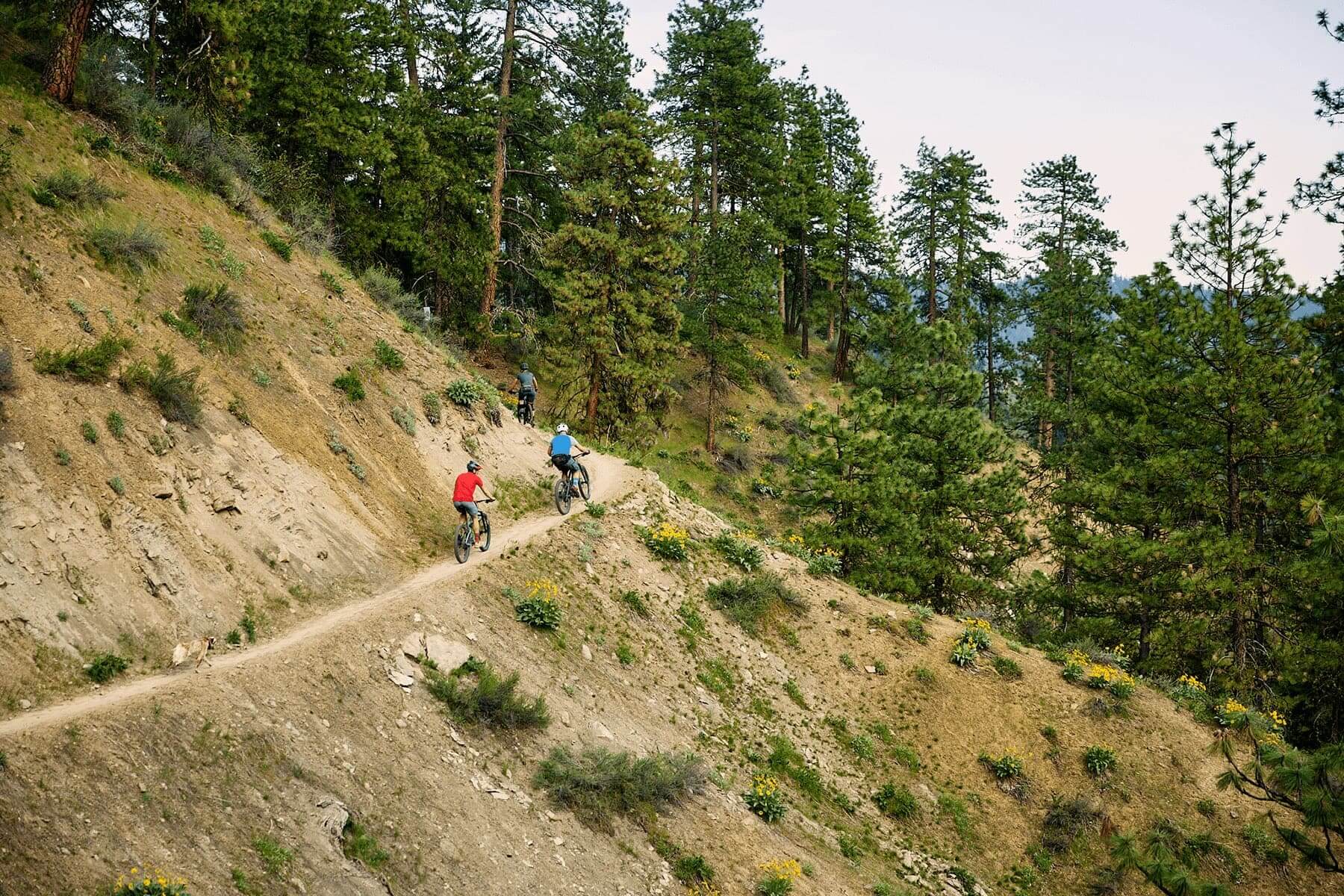 Mountain Biking Destinations in Washington State