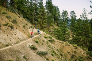 Hit the Trail at These Mountain Biking Destinations