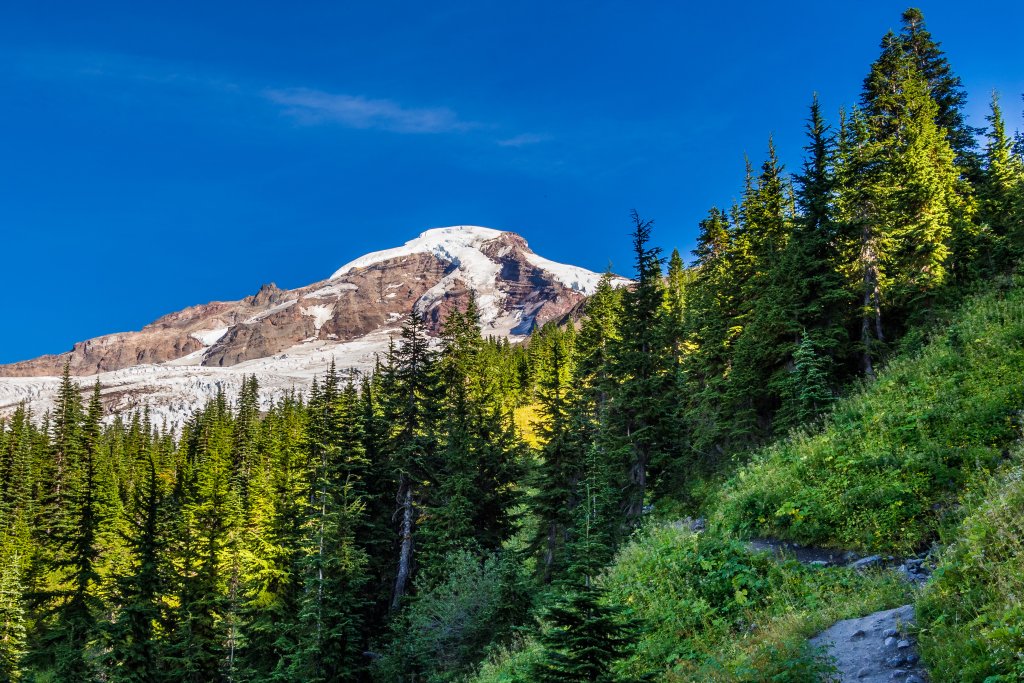 View of Mount Baker from Heliotrope Ridge trail in North Cascades, Washington
