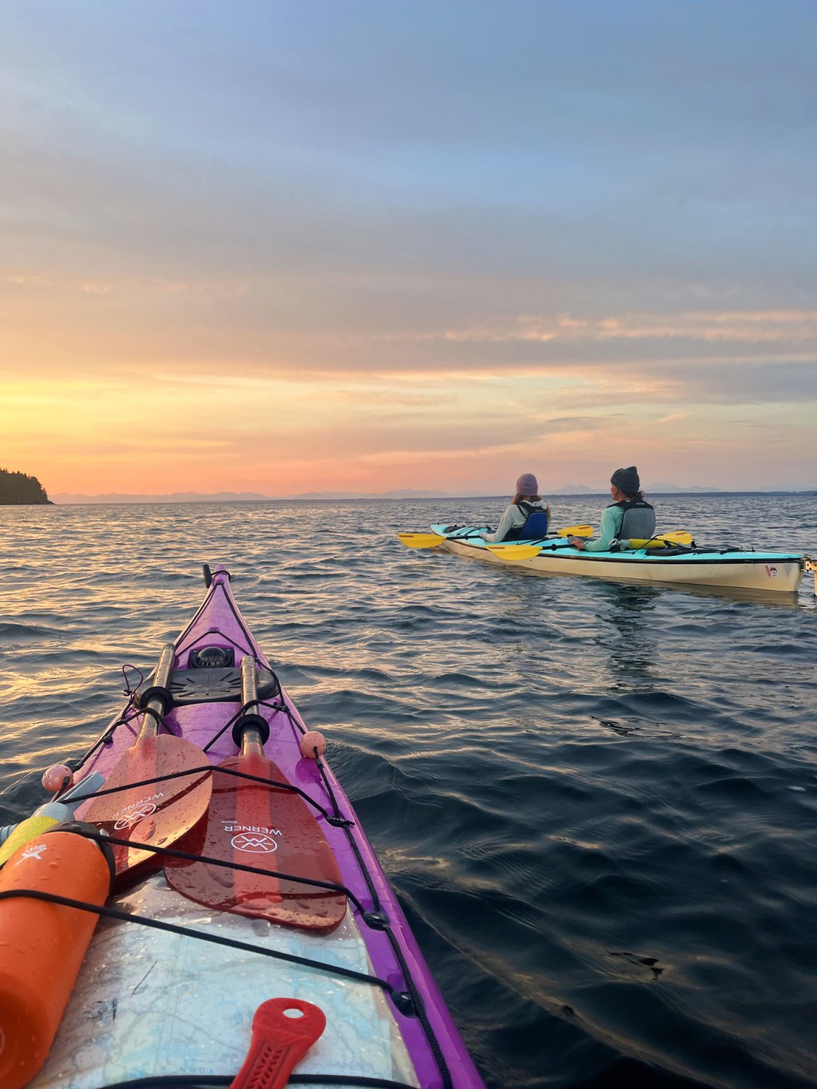 Best Places To Experience Bioluminescence In Washington