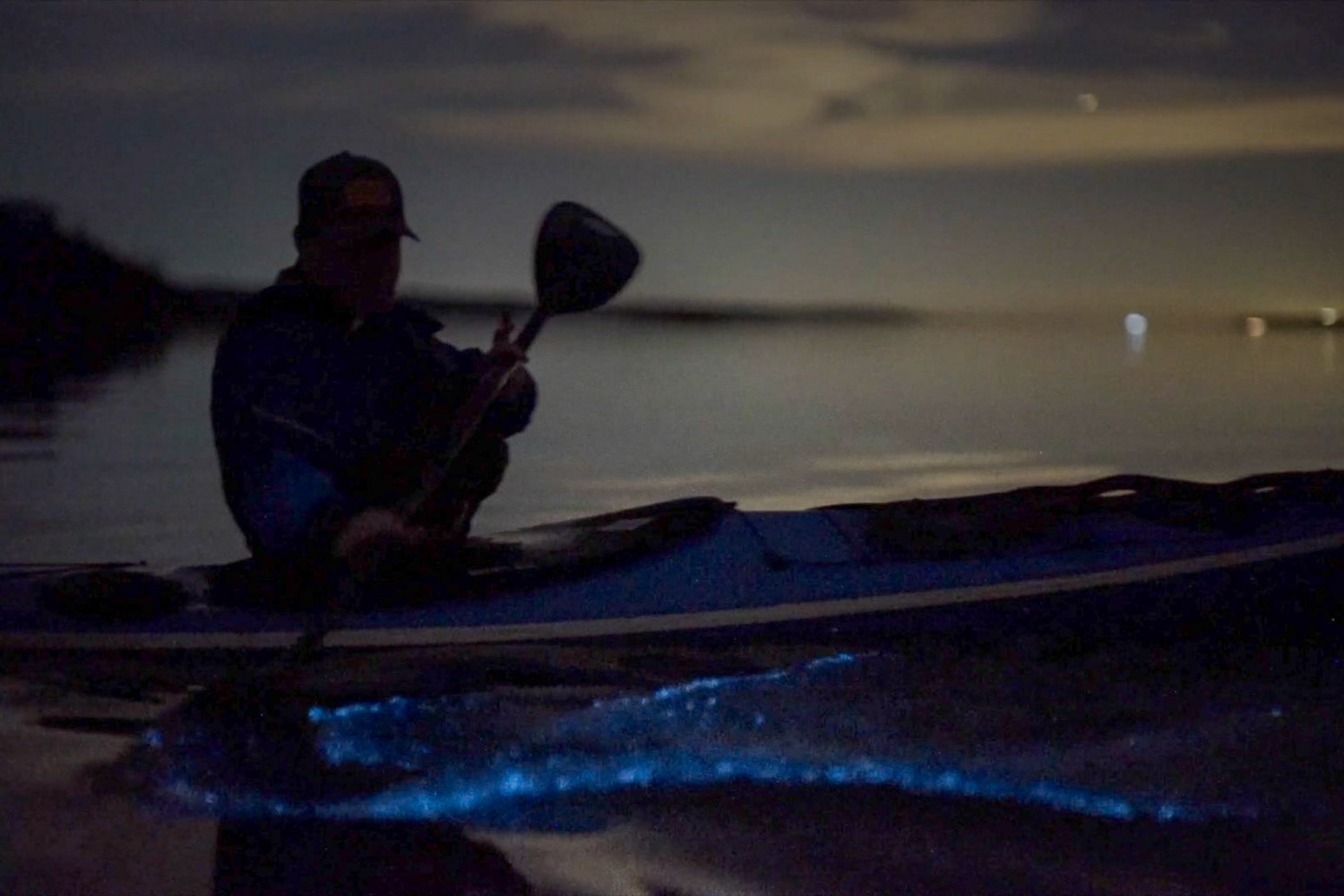 Best Places to Experience Bioluminescence in Washington