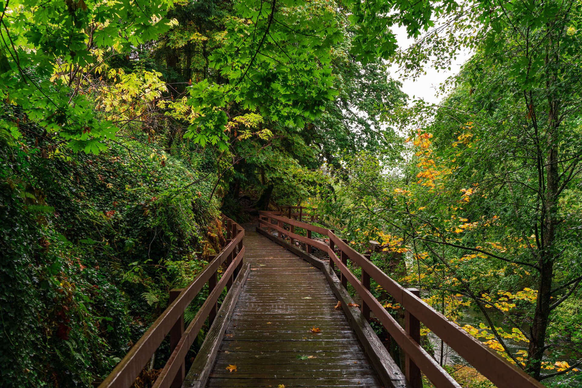 A wooden walkway through the forest at Brewery Park at Tumwater Falls