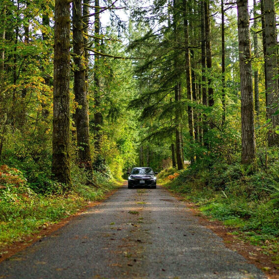 Explore the Thurston Bountiful Byway on a Family Adventure