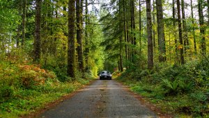 Exploring the Thurston Bountiful Byway: A Family-Friendly Adventure