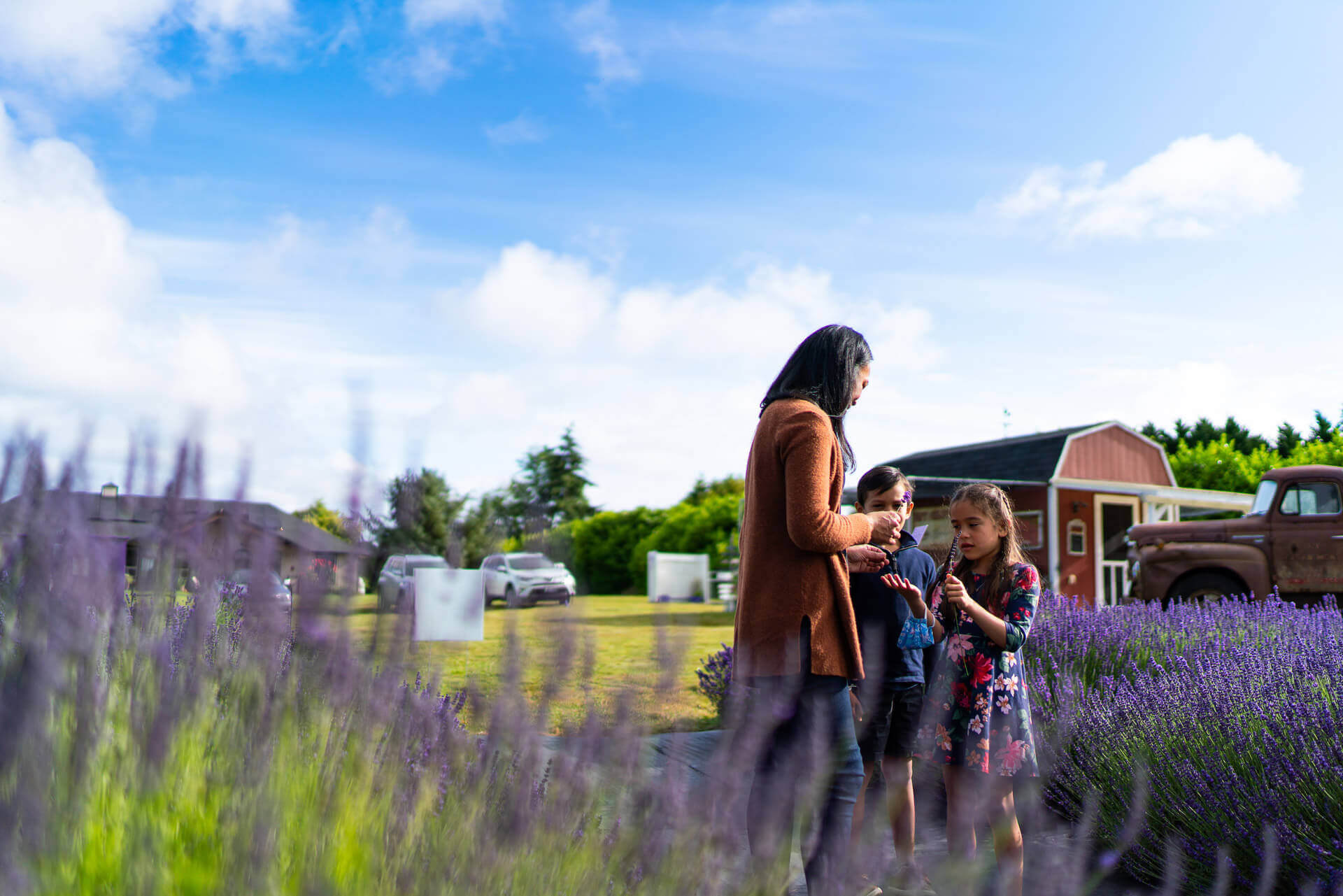 A woman and two children look at purple blooms at a lavender farm