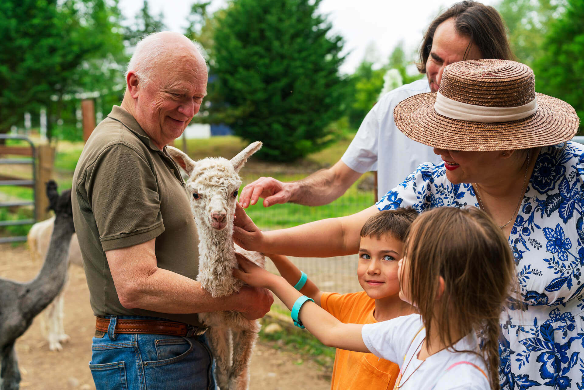 A man holds a baby alpaca as two adults and two children pet it