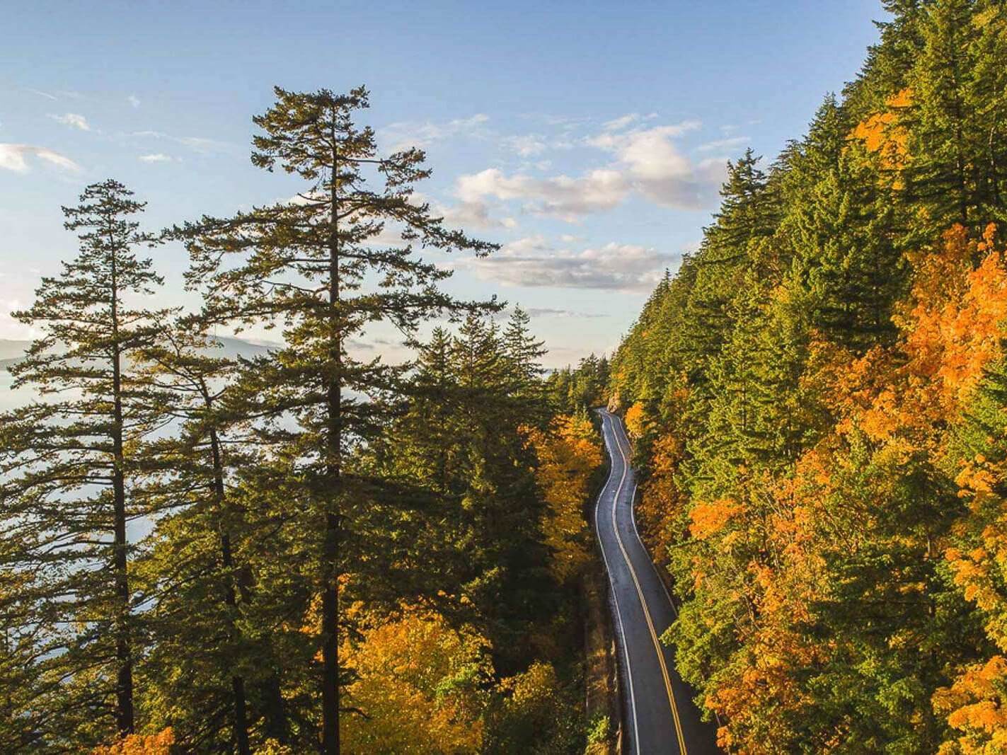 Where to find fall colors in Washington - Chuckanut Drive