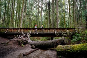 Kitsap Peninsula Road Trip Guide