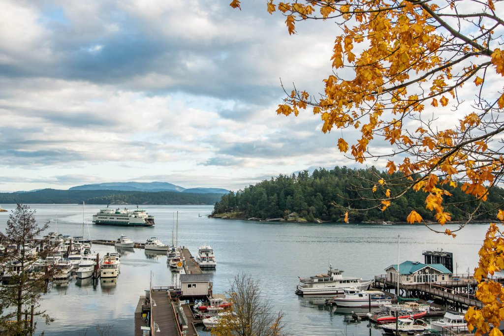 Photo of a ferry approaching Friday Harbor during fall in San Juan Island.