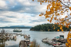 Photo of a ferry approaching Friday Harbor during fall in San Juan Island.