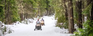 Discover Snowmobiling Tours & Independent Adventures