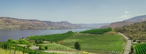 Travel Guide: Things to do in Lake Chelan