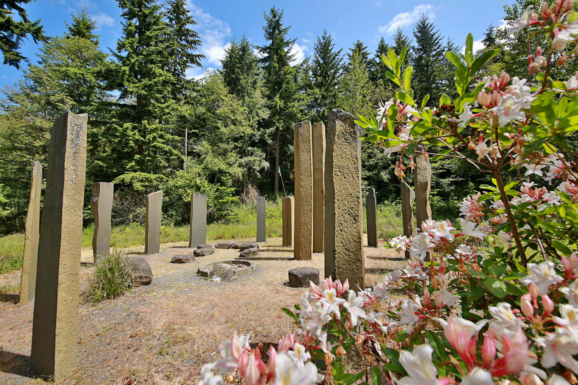 Photo of stones in a clearning