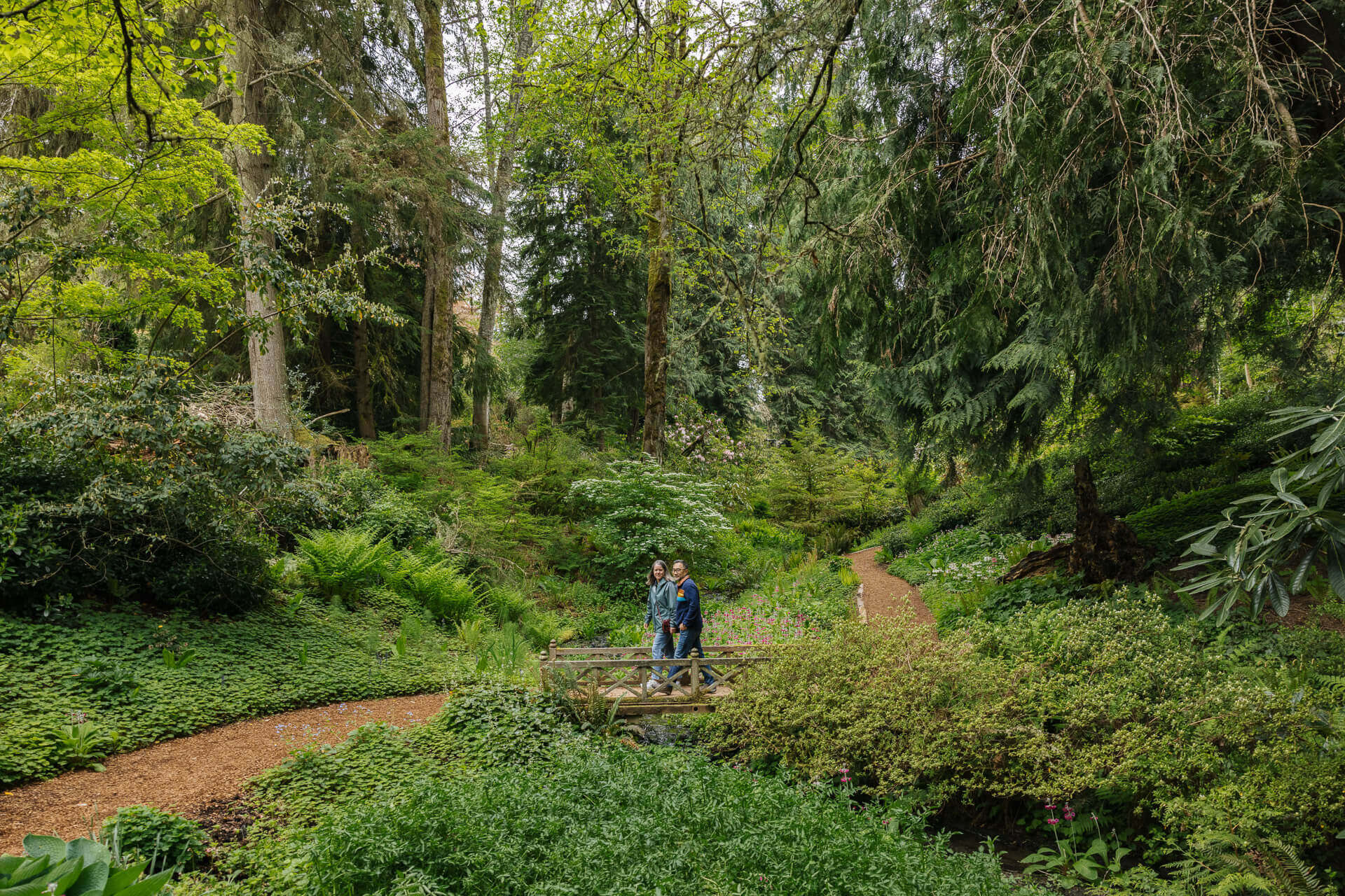 A man and woman walk across a small wooden bridge on a forest trail in Bloedel Reserve.