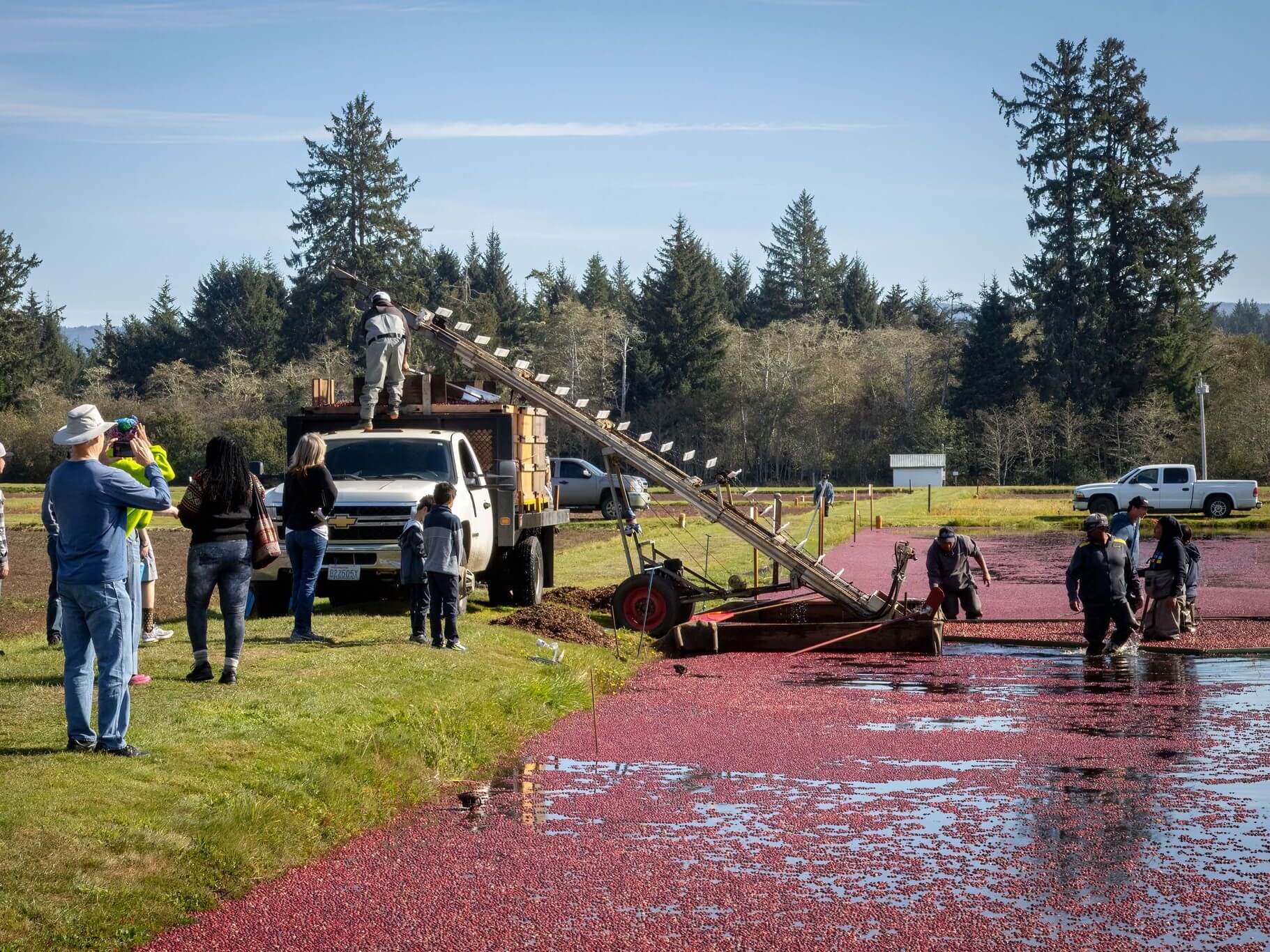 Cranberry-Harvest-Fair-Weekend