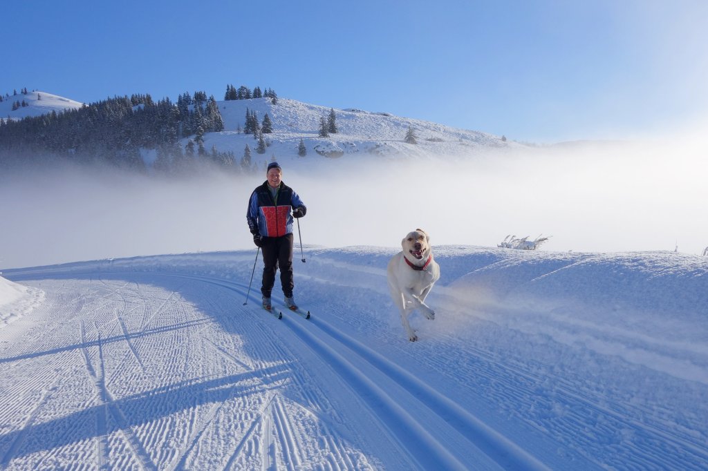A man enjoys cross-country skiing in the Methow Trails while a white dog runs alongside him