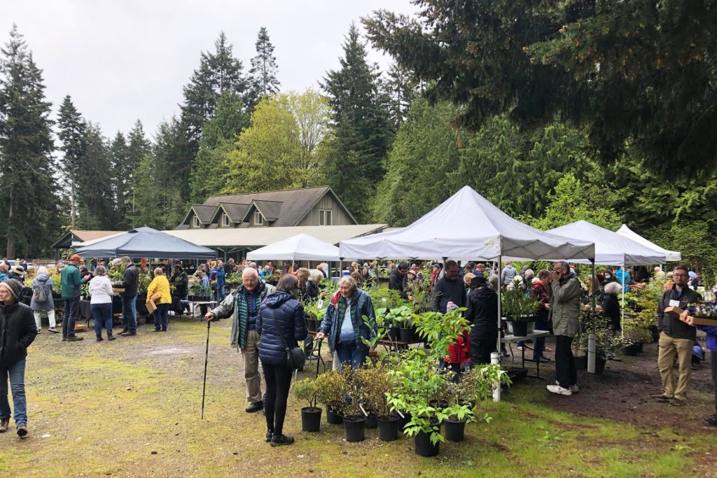 People look at plants under white pop-up covers during a plant sale