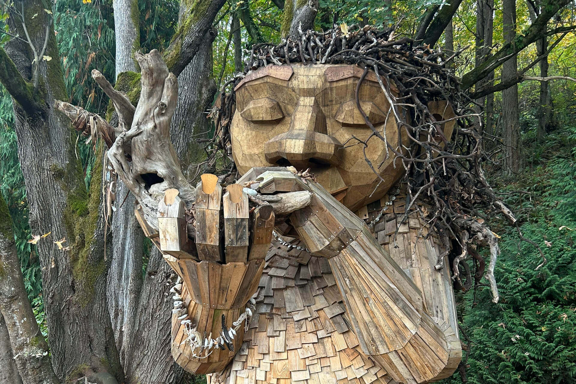 Bruun Idun, one of the wooden trolls in Washington 