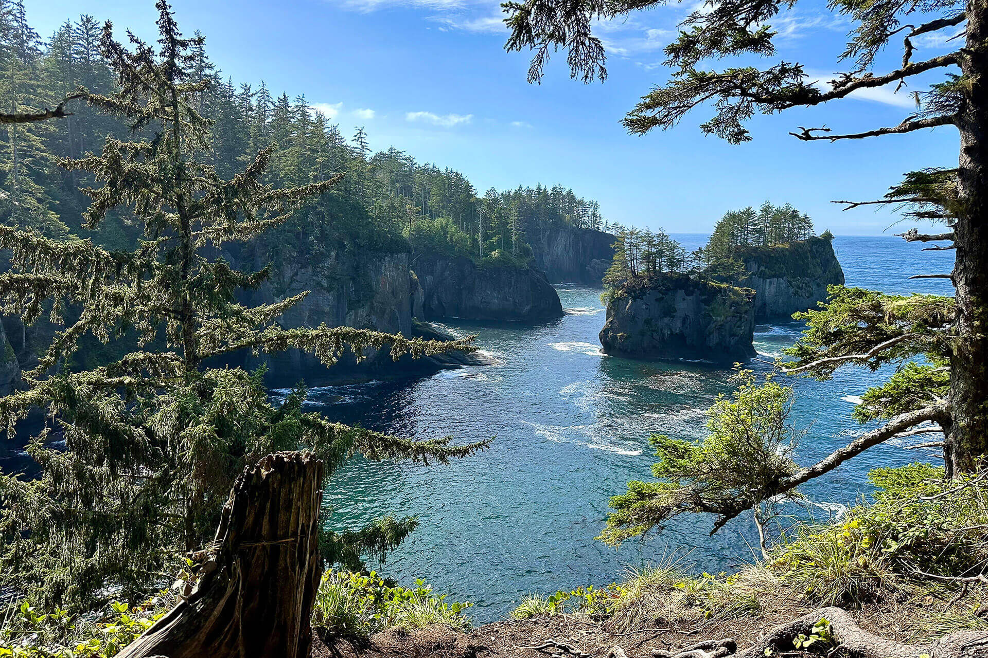 A water viewpoint at Cape Flattery Tribal Scenic Byway