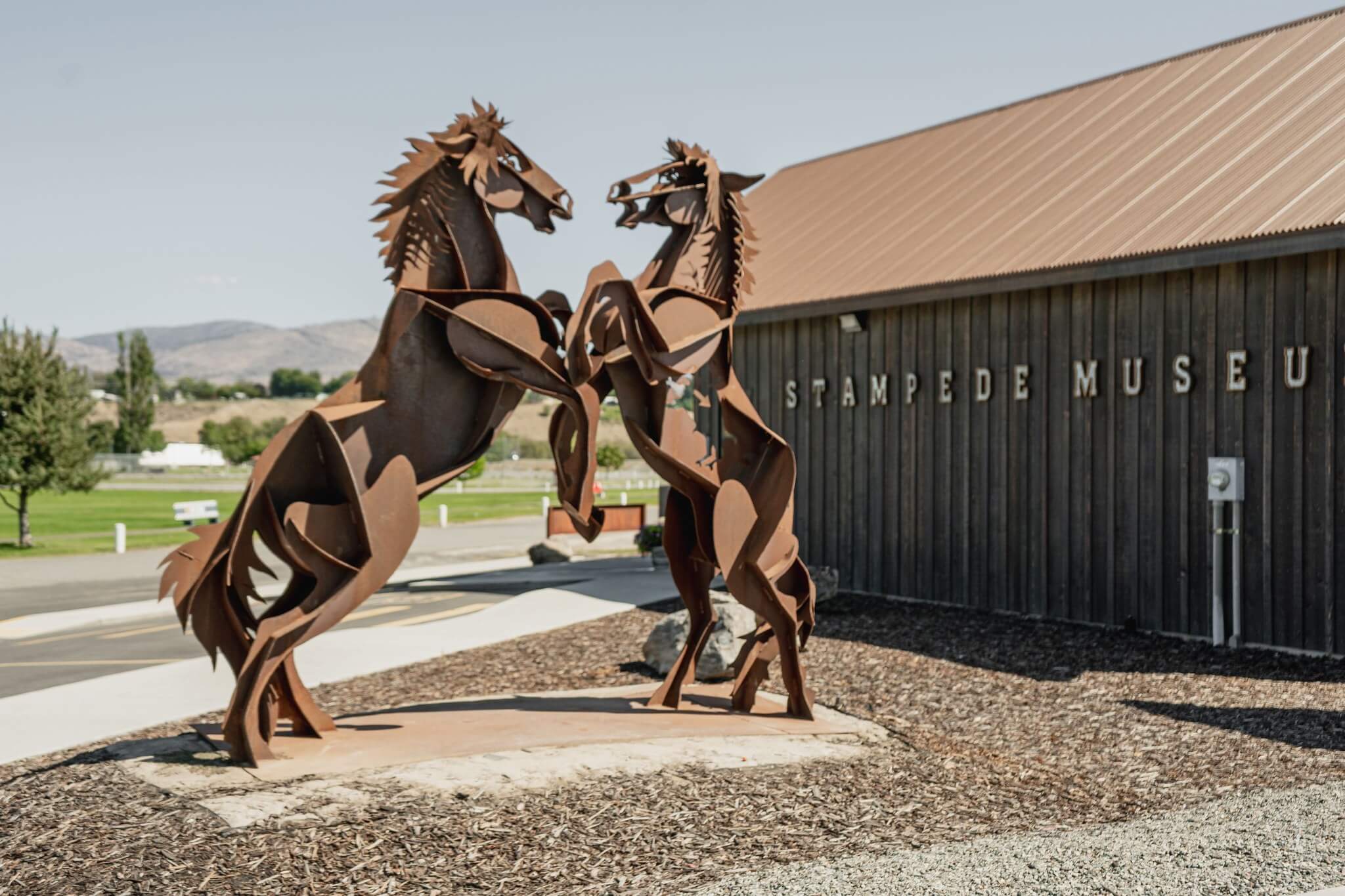 Two metal horse sculptures outside the Stampede Museum