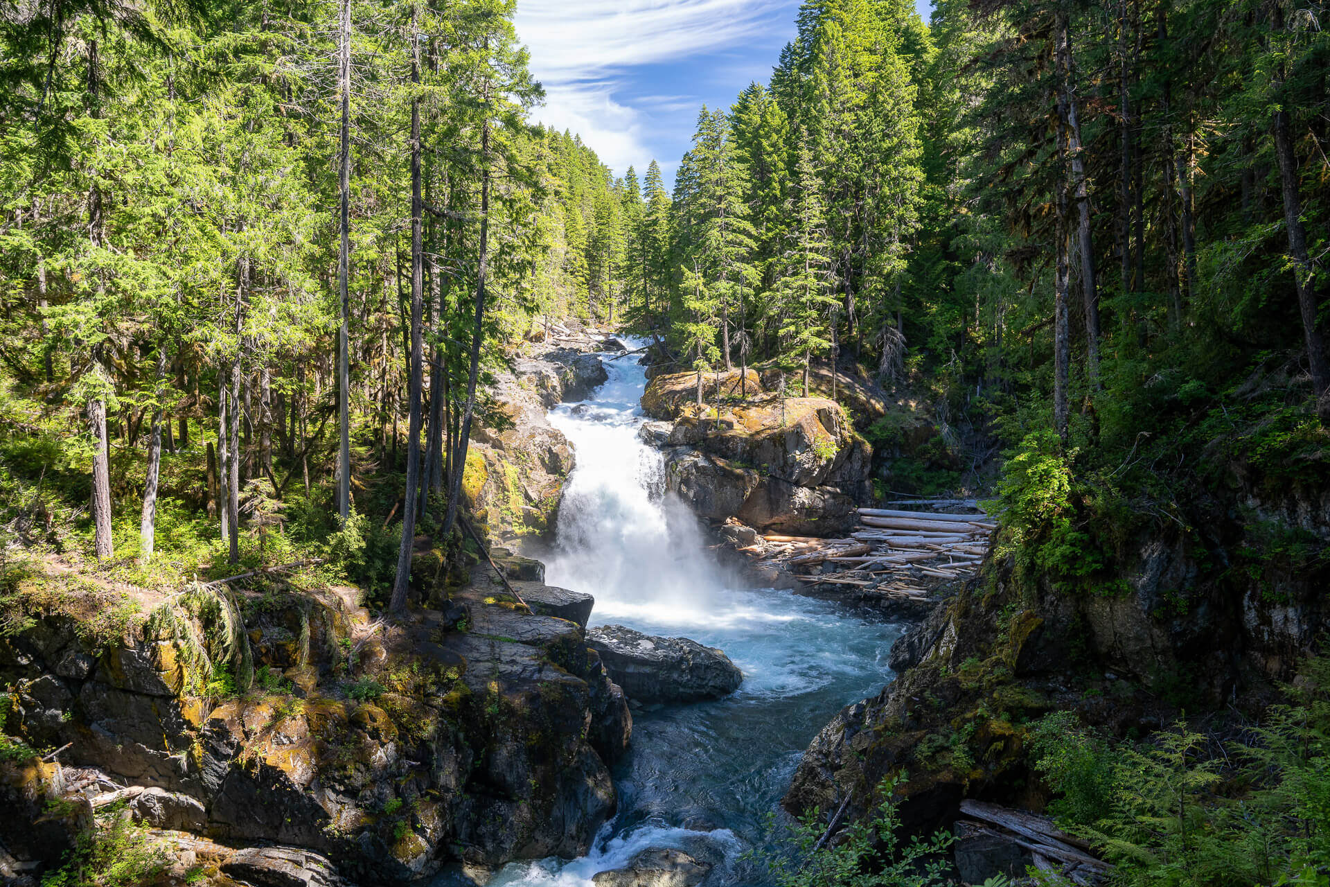 A waterfall in the forest