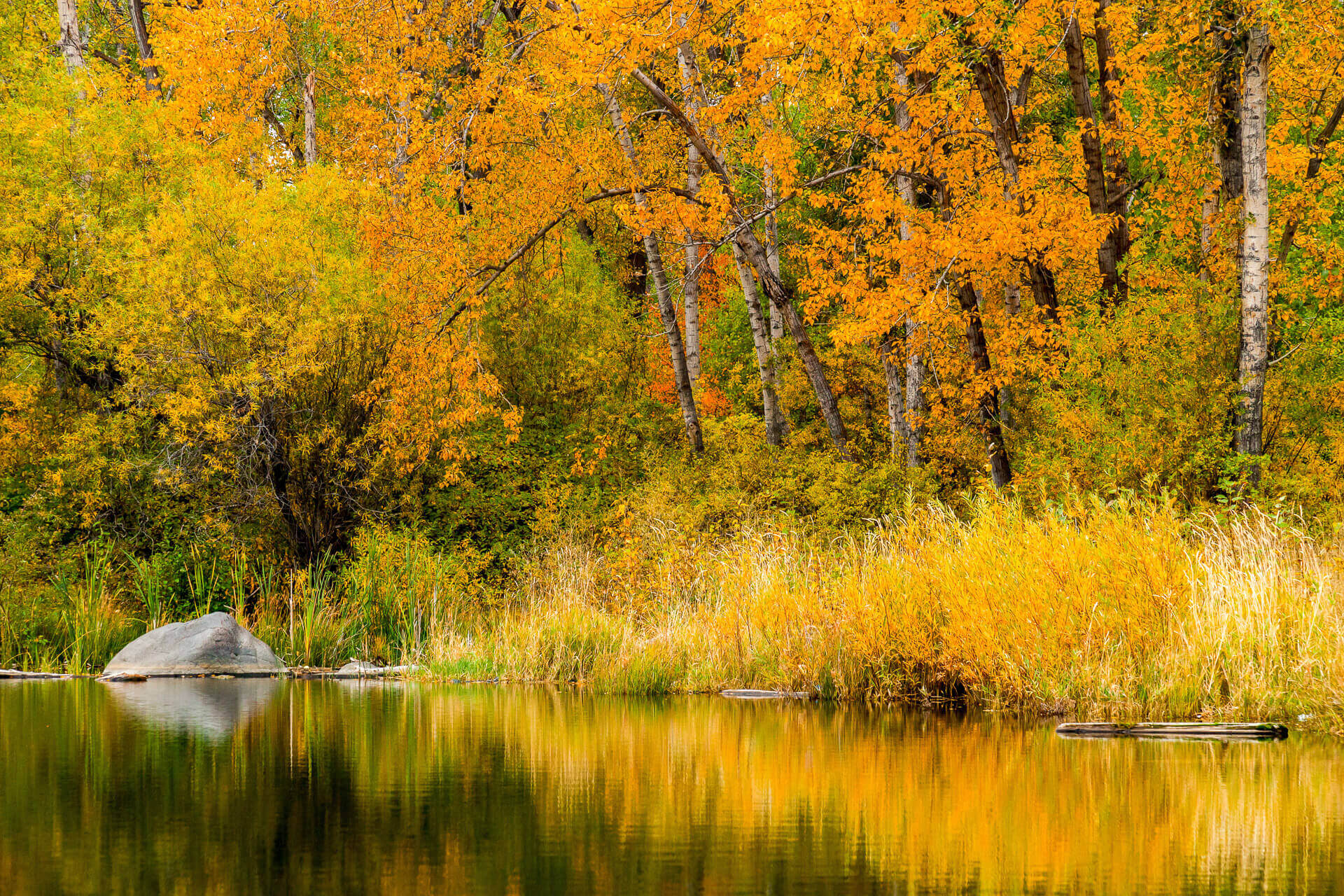 A pond reflects orange and yellow foliage