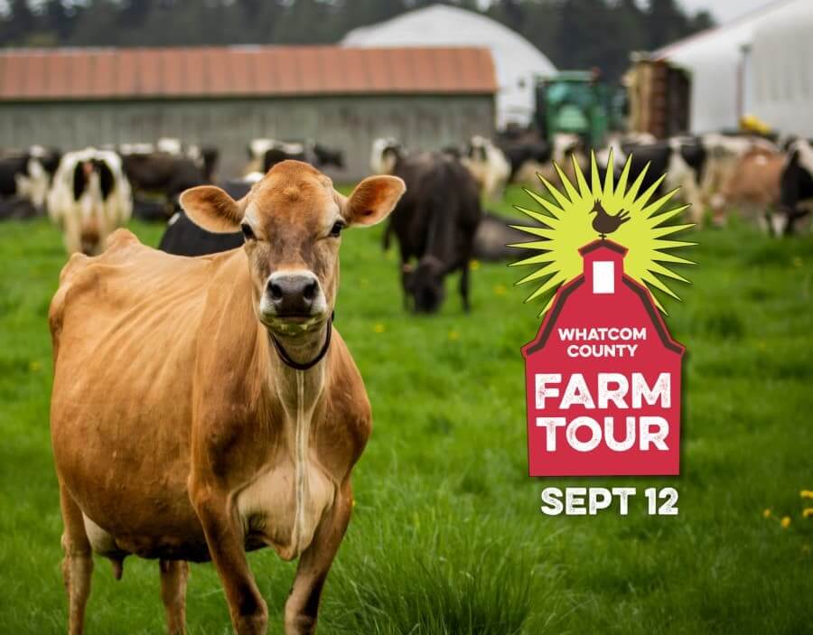 Whatcom County Farm Tour